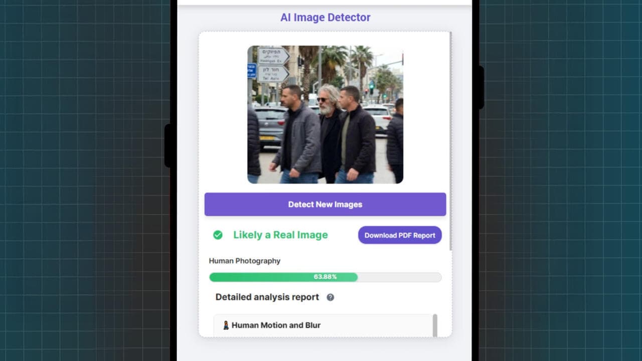 France 24 AI detection tools test