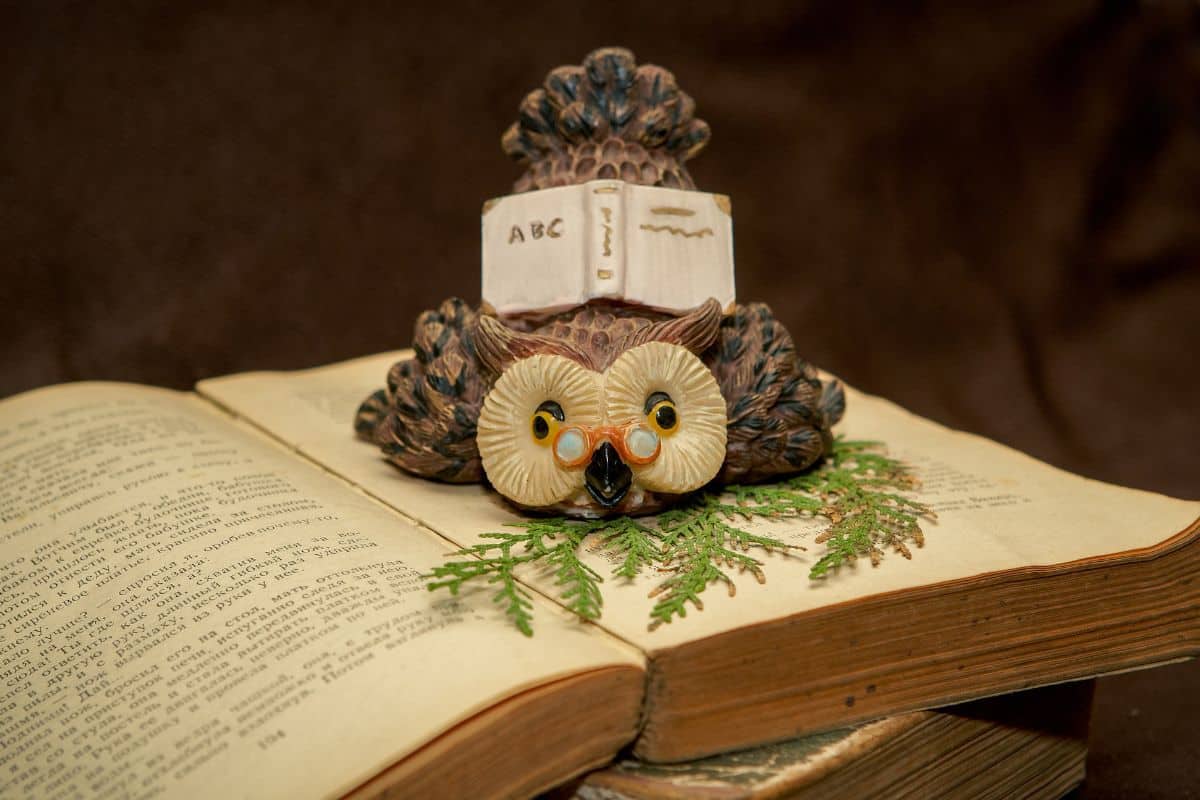 Old book selective focus