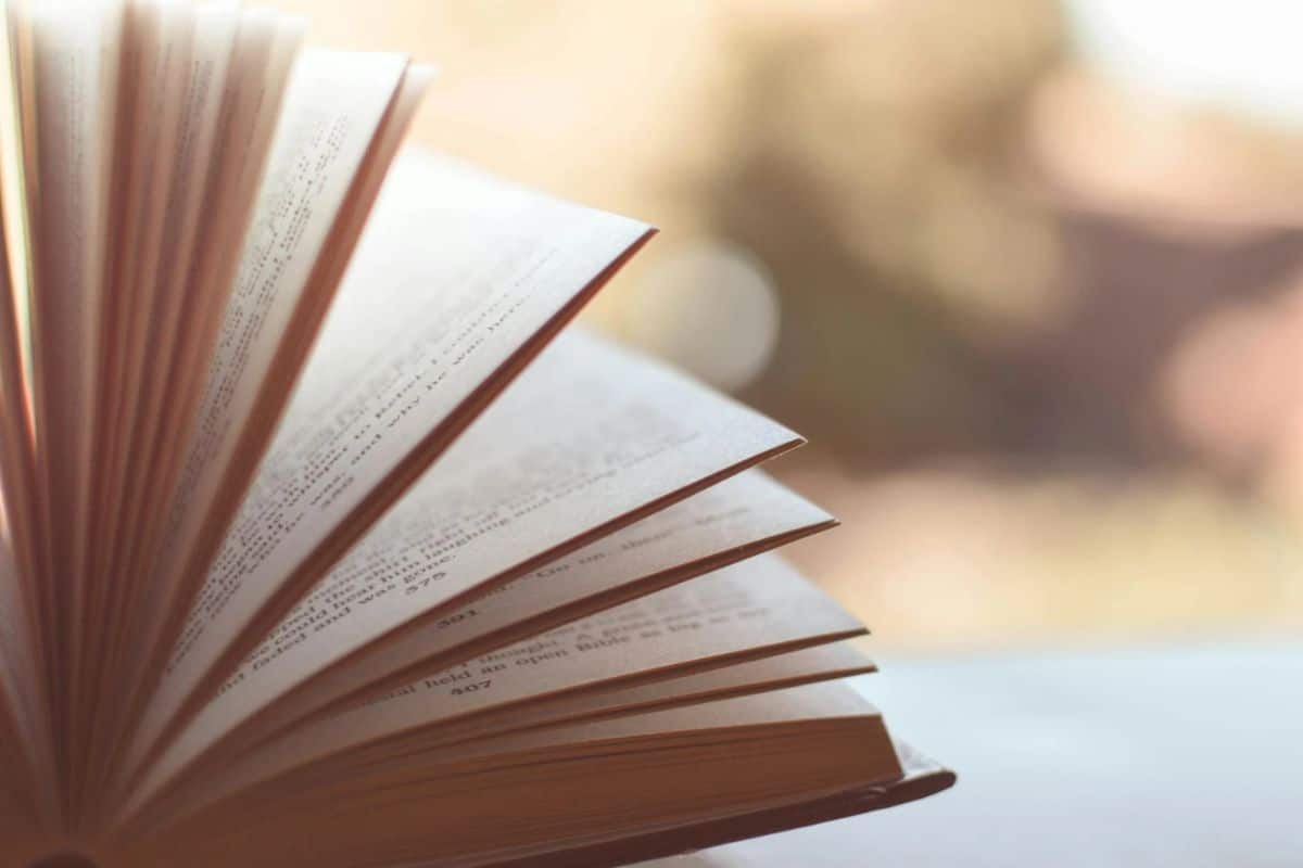 Foto stock di un libro aperto con pagine visibili