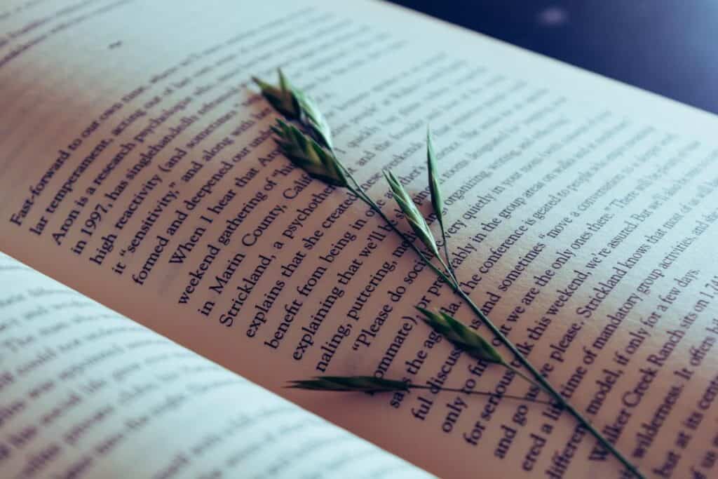 How to Write a Book: Everything You Need to Know how to write a book