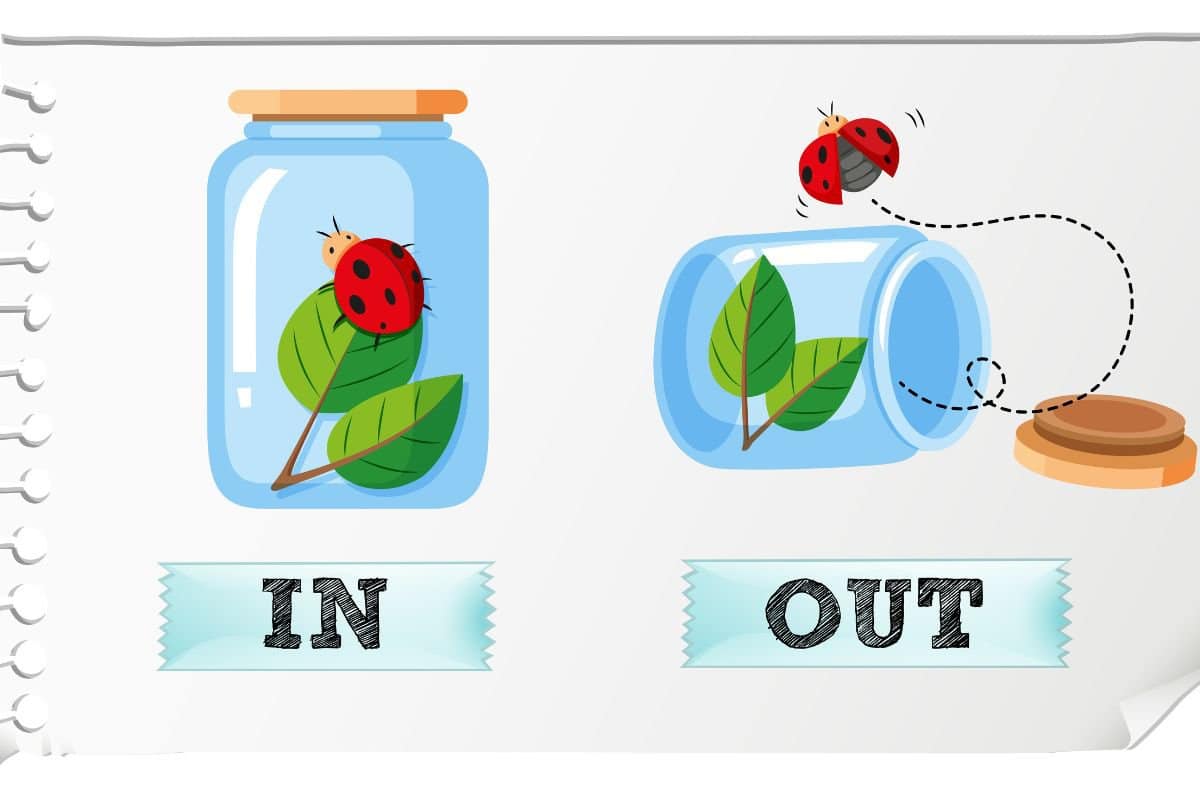 Gambar ilustrasi yang menunjukkan sebuah toples dengan benda-benda yang menunjukkan "in" dan "out" sebagai contoh preposisi