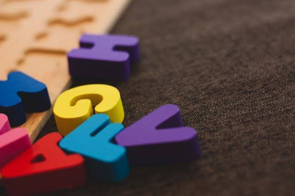 What Is an Article in English Grammar? Definition & Examples