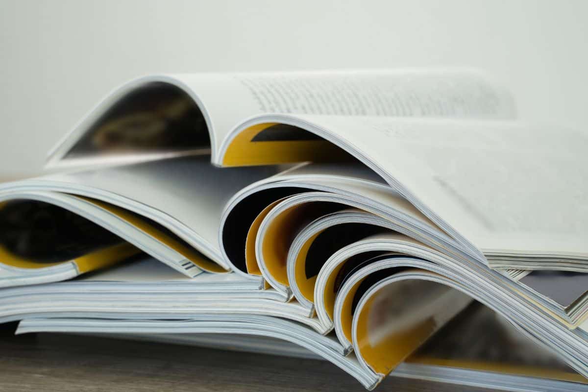 What Is an Article in English Grammar? Definition & Examples