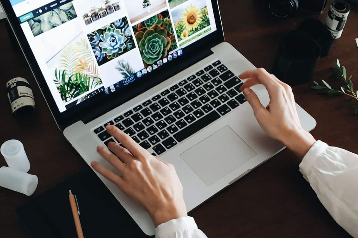 How to Cite an Image: APA, MLA, and More