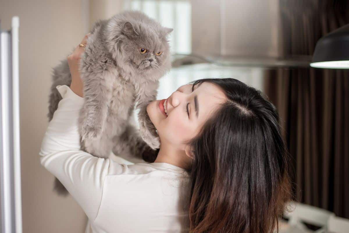 Beautiful asian cat lover woman is playing with cat in her room