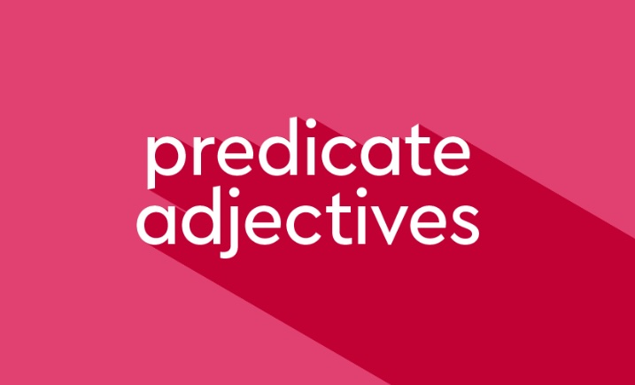 Predicate Adjective: Meaning, Rules, and Examples predicate adjective