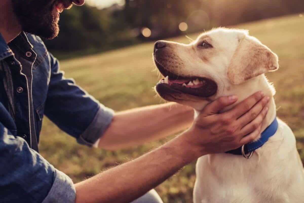 Homem a segurar um cão de estimação