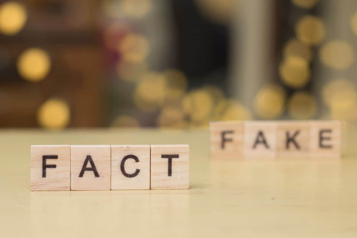 Fake or fact in wooden words letter