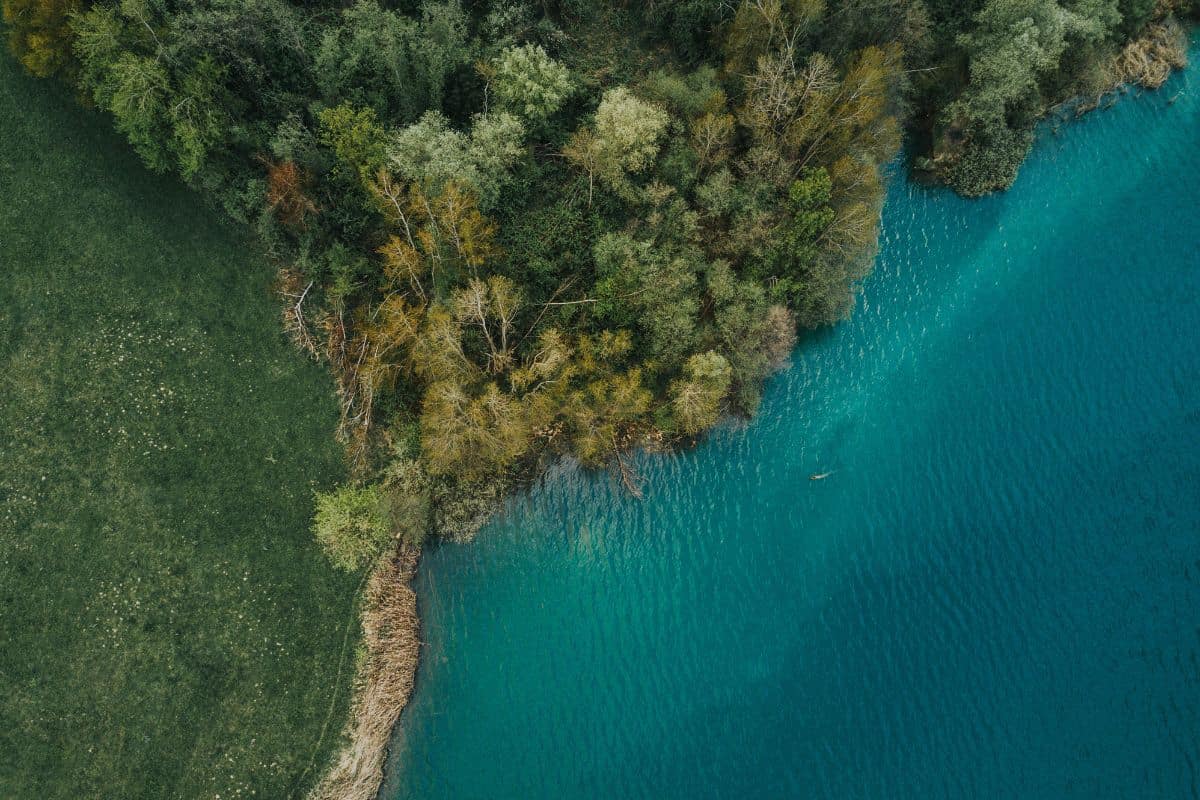 Что такое зеугма? Определение и использование