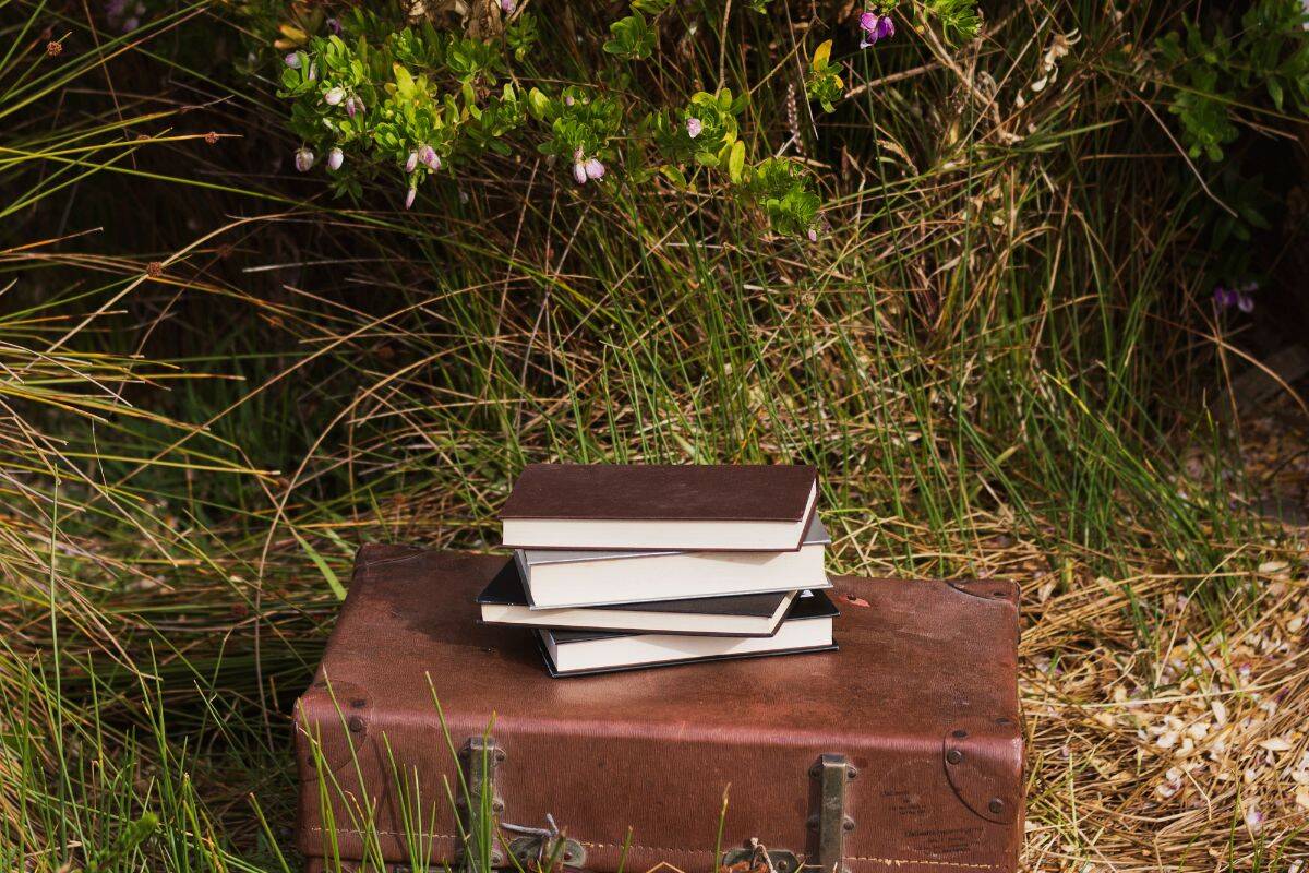 Παλιά βαλίτσα με βιβλία πάνω της