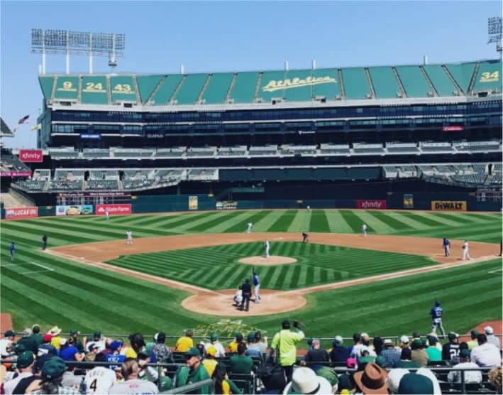 O que é viés cognitivo? Definição, exemplos e dicas viés cognitivo