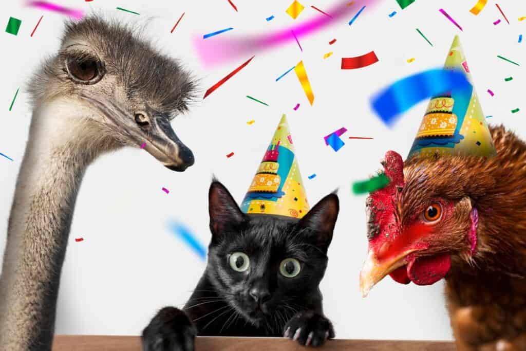 Cute animals group on white background