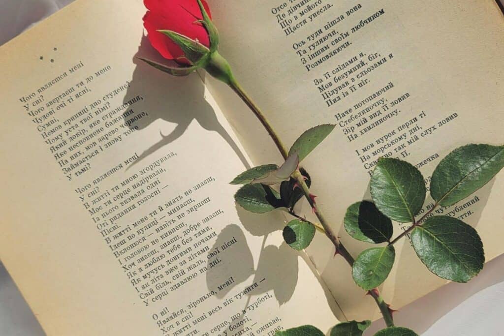 Poesia romântica com uma rosa vermelha no Open Book