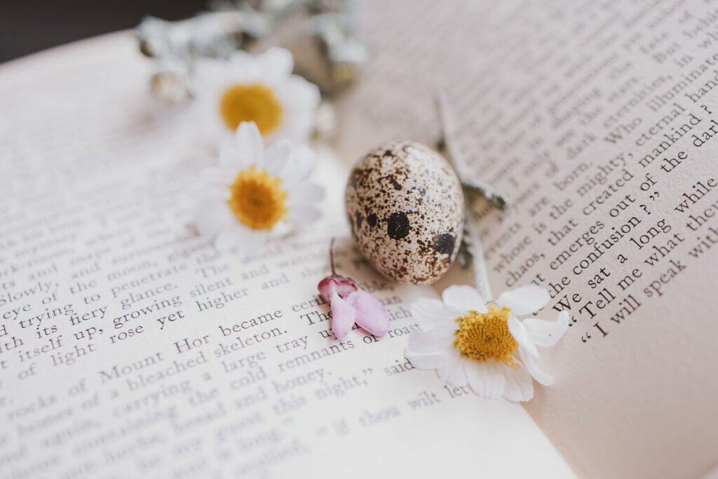 Closeup of a little spring daisy flower and chamomile quail egg