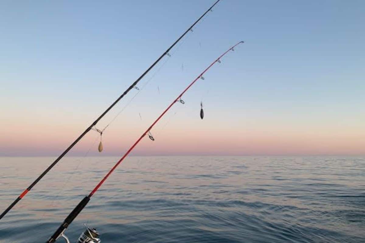 Significado de anzuelo, sedal y plomada: Ejemplos y uso