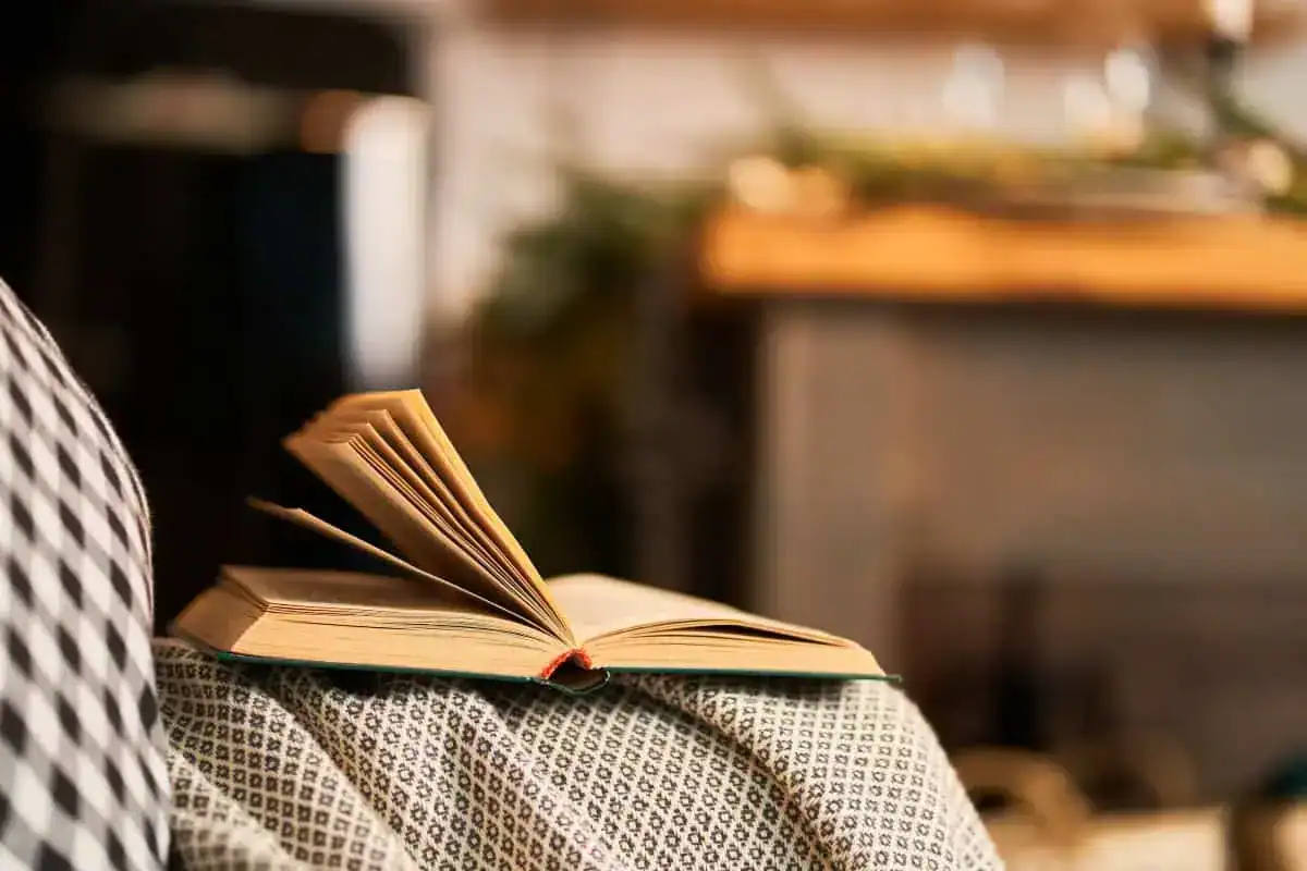 Favorite cozy sofa with checkered cushions for reading books.