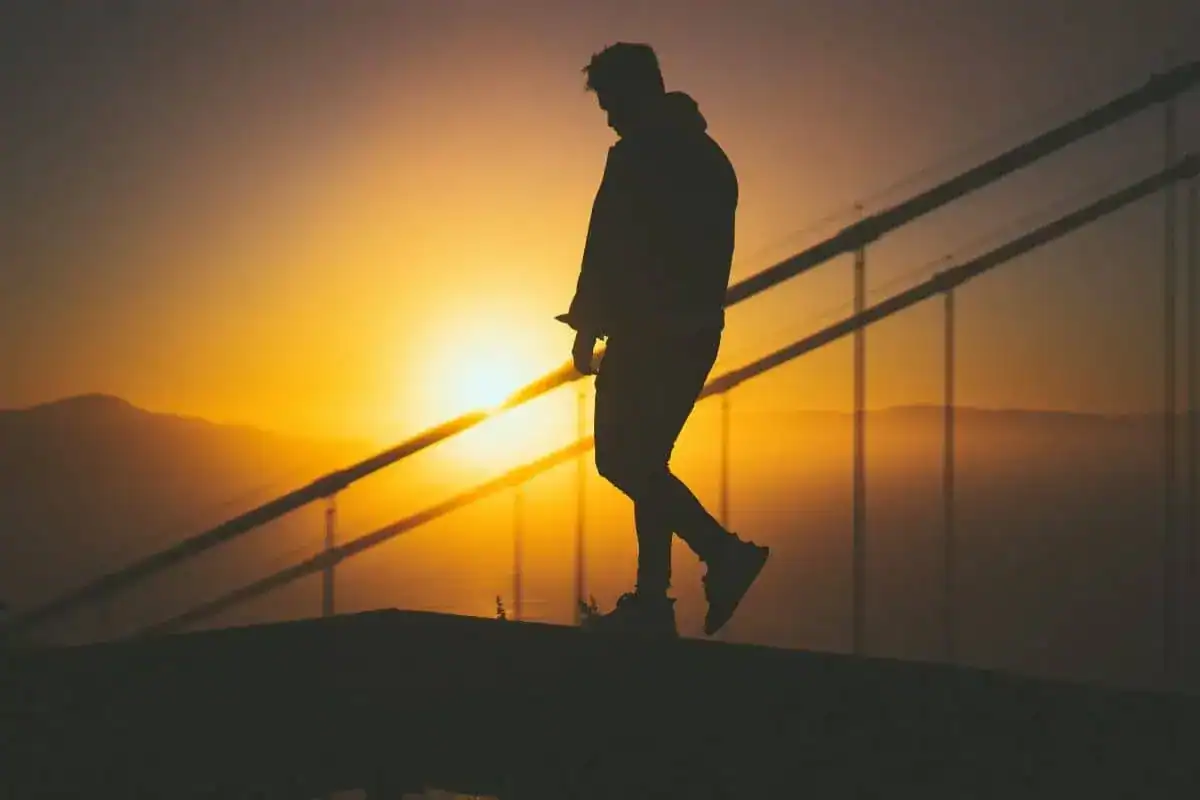 How to Use In Light Of: Meaning & Examples