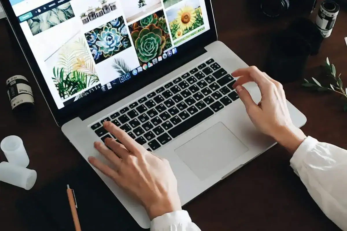 How to Cite an Image: APA, MLA, and More