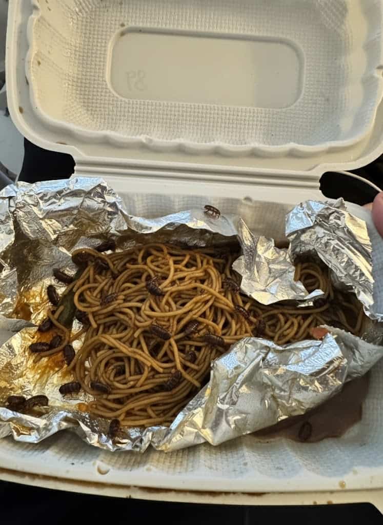 Ich habe 5 AI-Bilddetektoren getestet. Dies sind die besten im Jahr 2026: 9 Ein von der künstlichen Intelligenz verändertes Foto der Essensbox mit Nudeln und Käfern im Inneren der Box